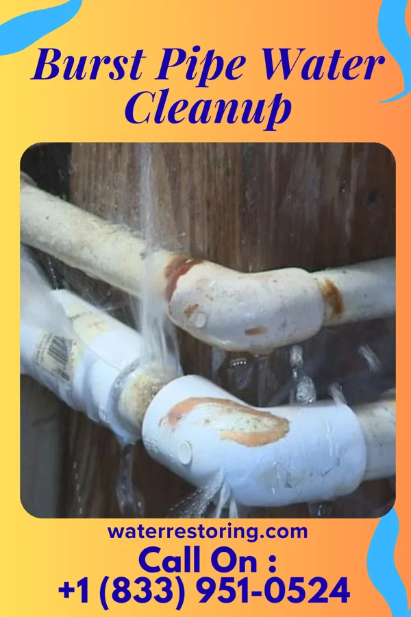 Burst Pipe Water Cleanup in Castalia, OH