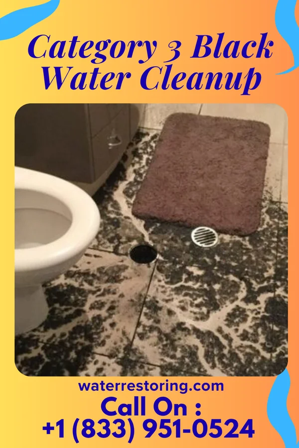 Category 3 Black Water Cleanup in Castalia, OH