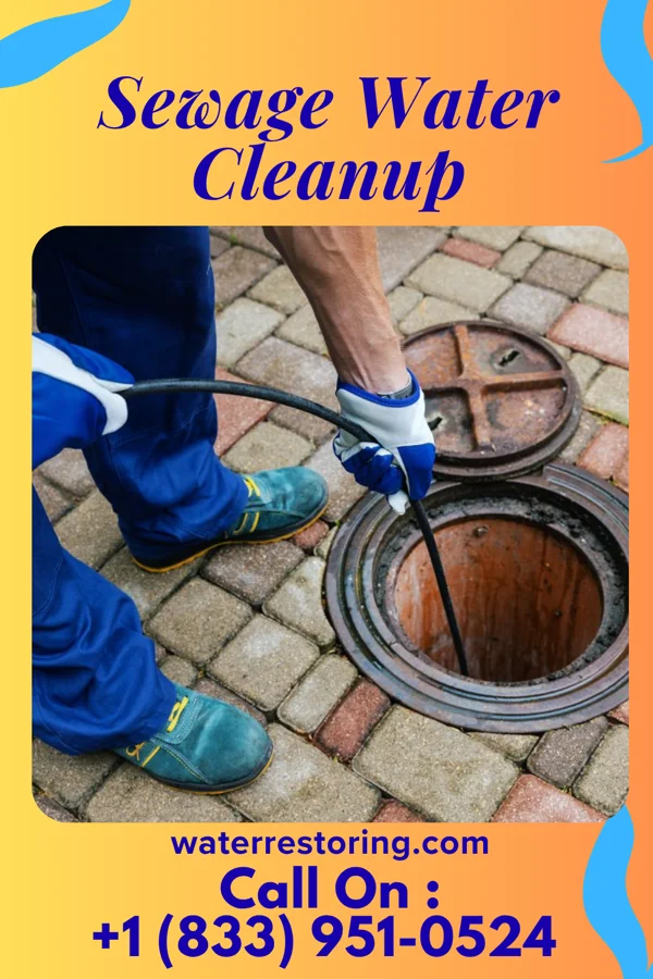 Sewage Water Cleanup in Castalia, OH