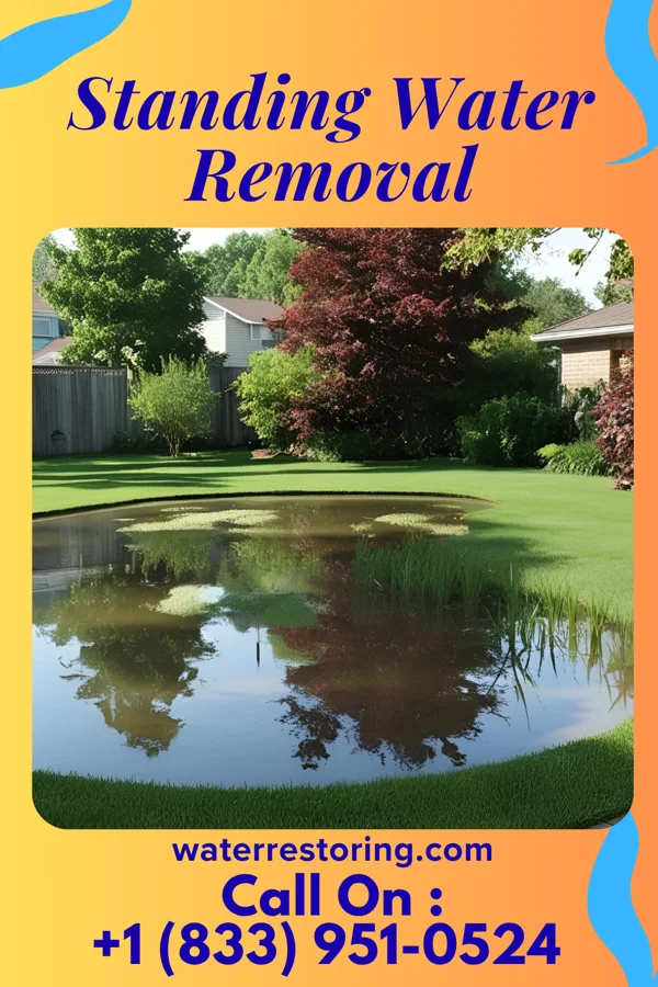 Standing Water Removal in Castalia, OH